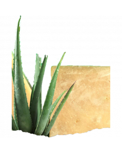 Natural Bath + Shampoo Soap - Honey + Aloe Vera