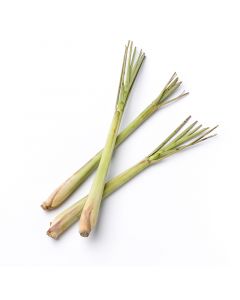 Fever Grass (Lemon Grass)