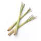 Fever Grass (Lemon Grass)
